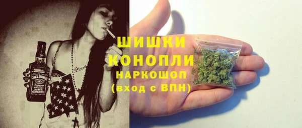 мдпв Коряжма