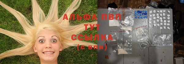 мдпв Коряжма